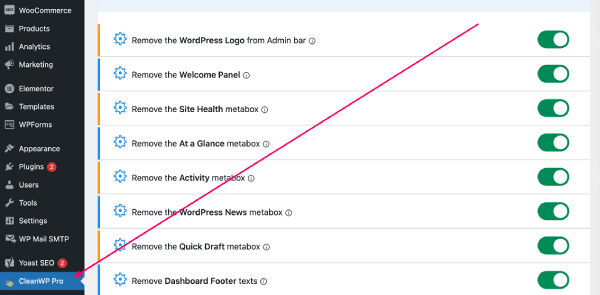 CleanWP Pro Dashboard page